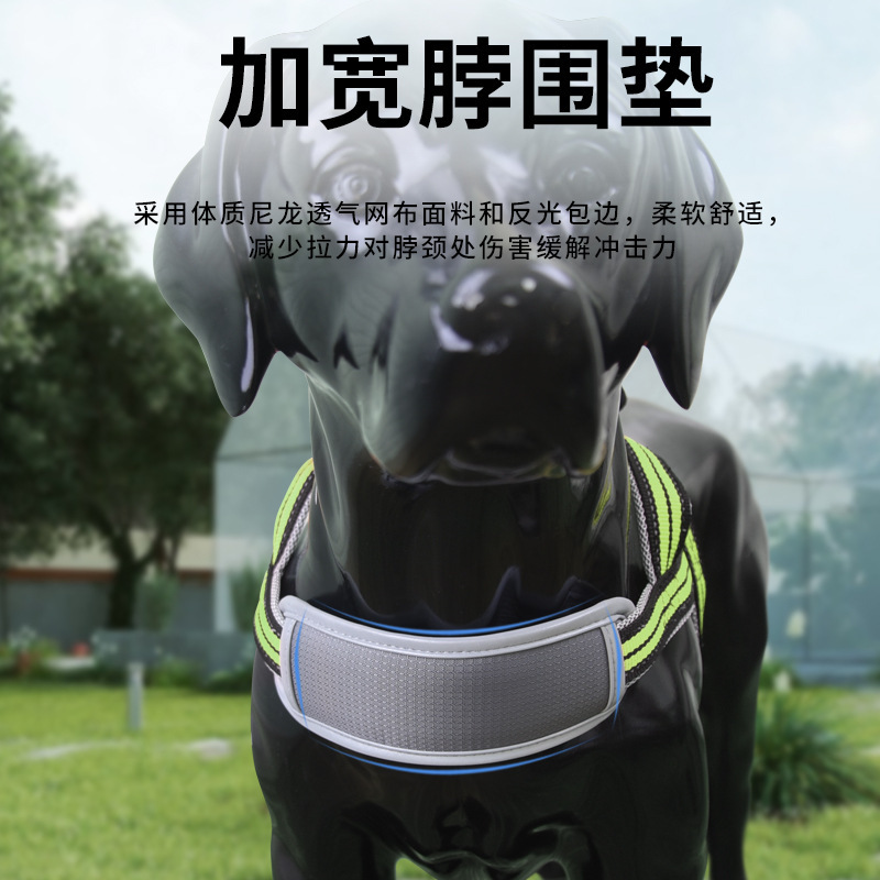 夏の犬の散歩用リード、小型犬用ハーネス、大型犬用リード、夜光安全|undefined