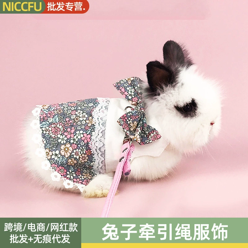 NC Одежда для кроликов Летний питомец Кролик Маленький ходячий кролик Тяговая веревка Ушные украшения с кроликом Жилет Одежда