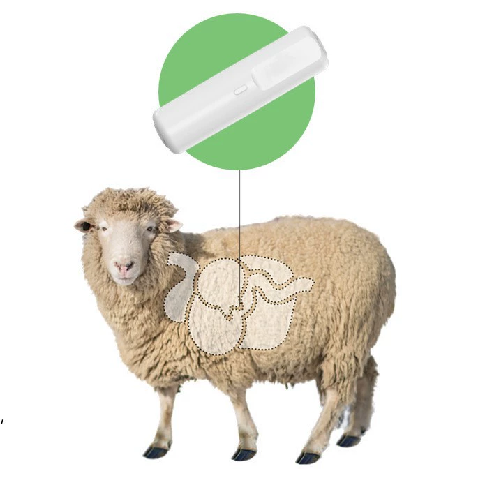 Измерение температуры на ферме ранчо Мониторинг здоровья движения Базовая станция LoRa Интеллектуальный датчик Сертифицированный скот и овечий желудок капсулы