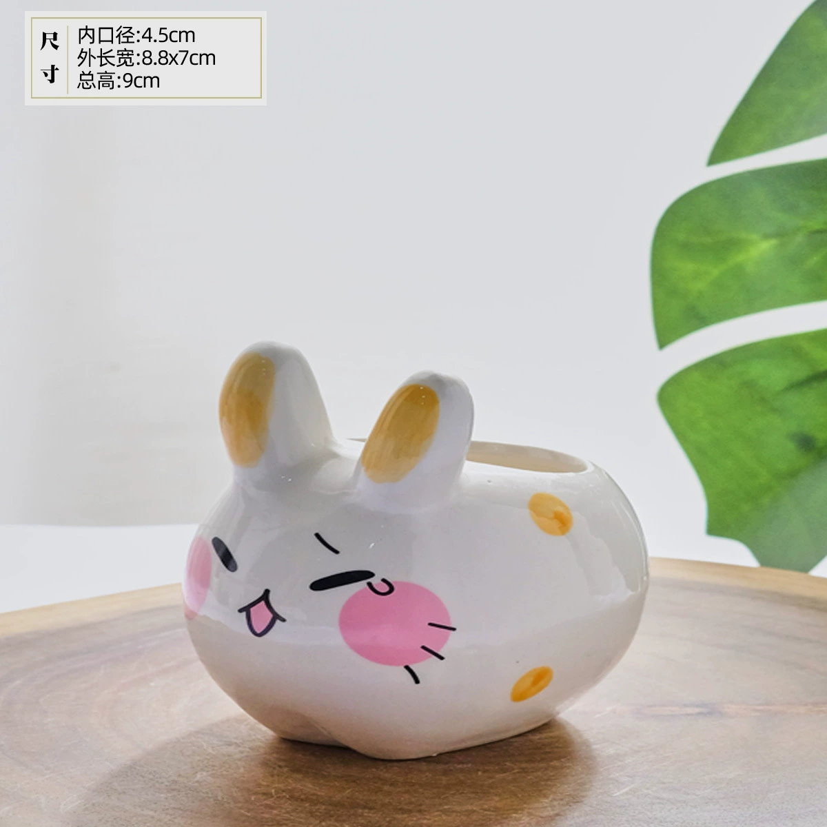 Succulent plant cartoon carved cement hand -painted flower pot desktop pallets wholesale