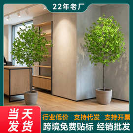 厂家批发假绿植高仿真马醉木吊钟树植物服装店秋季装饰室内盆栽