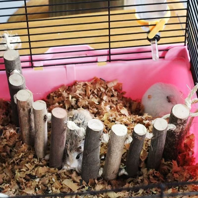 6e5d1931-d0b1-4773-86a7-dcdda51d0b24.jpe