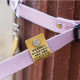 Spot Korean multi-color pet tag PU leather dog identity tag blank cat anti-lost collar hanging ornaments