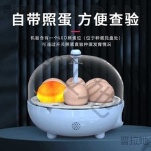 孵蛋器科教小鸡孵化器小型家用型儿童孵化机鹦鹉迷你全自动孵化箱