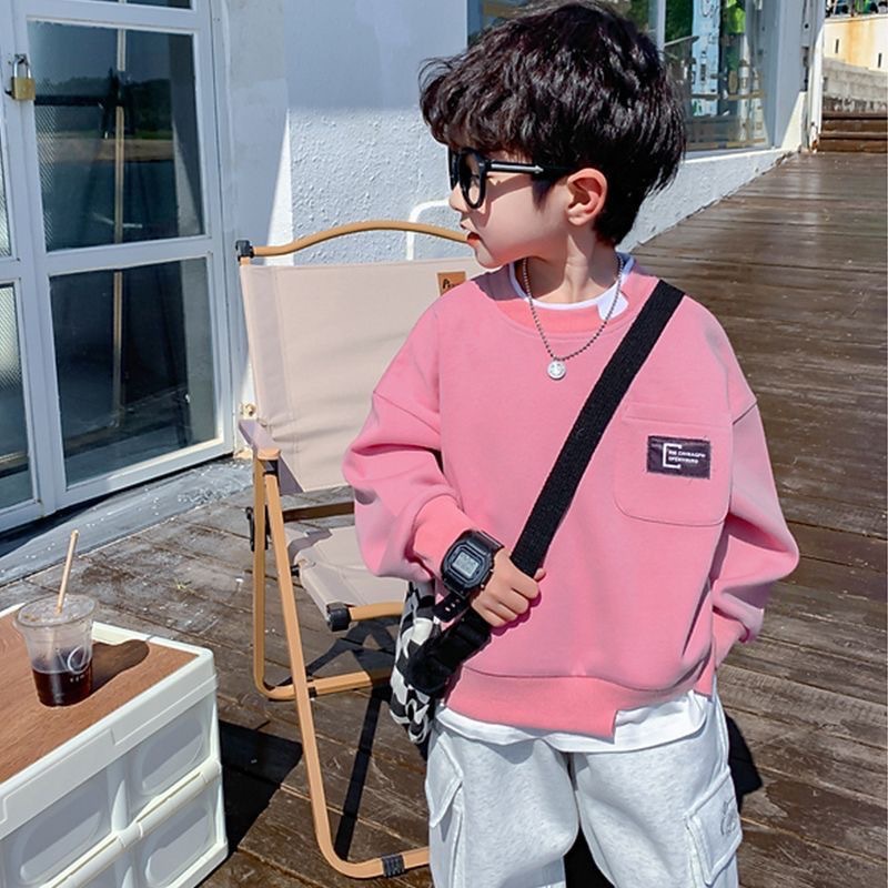 Autumn fuchsia demi-season sweatshirt for boys