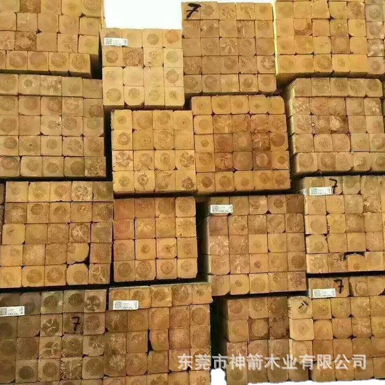 ľ������ �չ�1000�� ��������ǿ ������������ �ڰ���