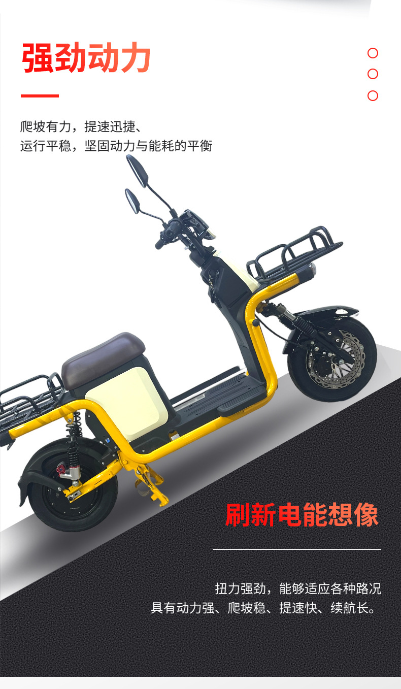 Zhanma Electric Motorcycle Long Range Two-wheeled Lithium Battery High Power