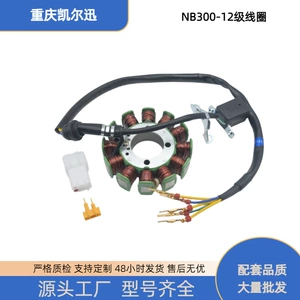 Zongshen CBS300 Off-Road Motosiklet Mühərriki Maqneto Bobini ZS NB300 Stator üçün