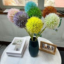 �¿���[����滨��c�ѹ�Ӣ�����z�@���쾰�b[�żٻ��ҾӾGֲ