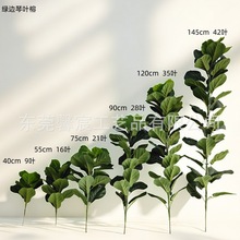 �������~��֦ ��Ʒ�ָ��~ �ɲ����� ��� ����Gֲ