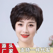 �ٰl������Ůʿ������ȫ�^����l�̾��lȫ���˰l��Ȼ�ļ�����l��