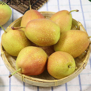 ���½��������r�t���ִ������ӱ�֭��������ˮ����Ƥ�S��