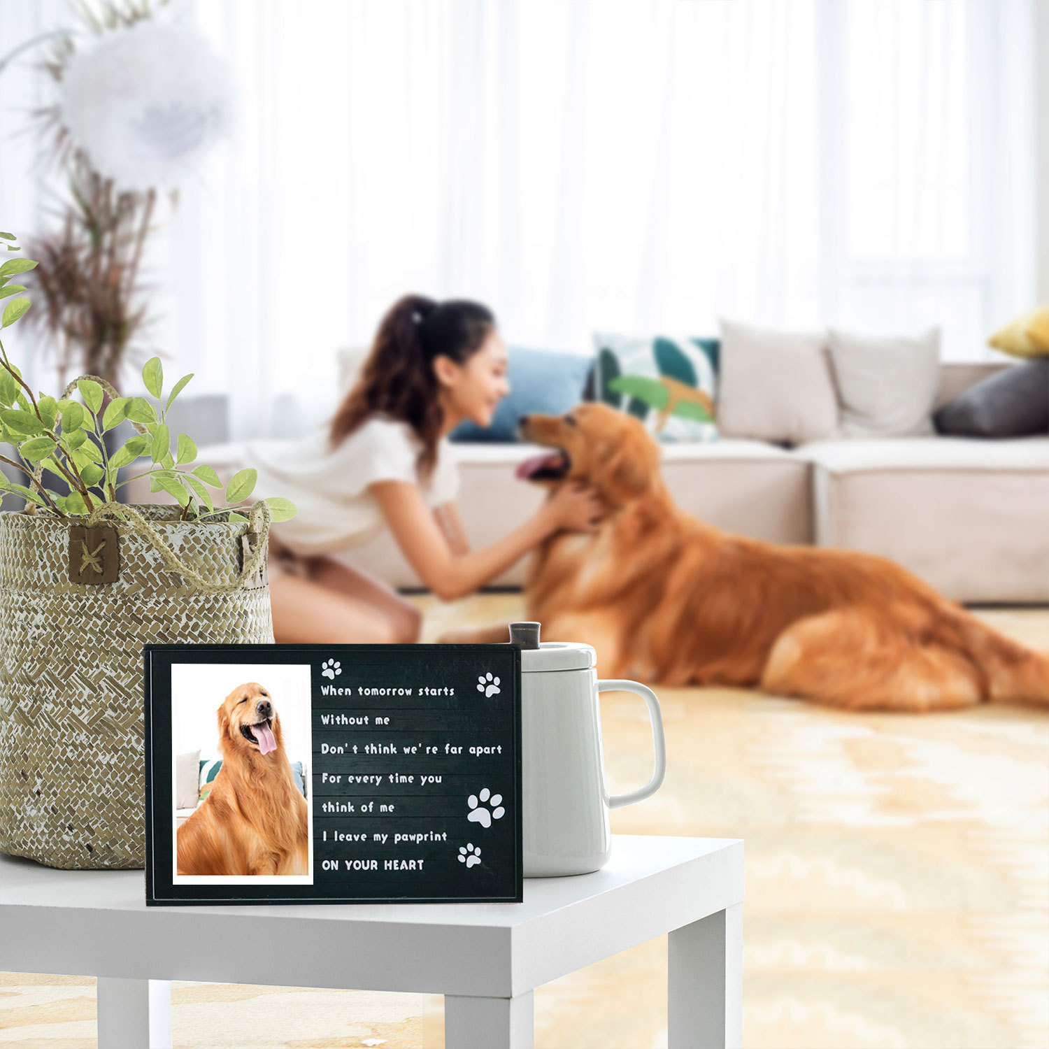 Nuevo marco de fotos conmemorativo de madera para mascotas transfronterizo nacimiento licencia conmemorativa Marco de Fotos decoración marco de fotos de madera para mascotas