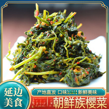 朝鲜族韩国泡菜延边朝鲜族特产辣拌新鲜下饭菜泡菜小咸菜樱菜