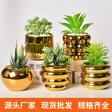 北欧创意镀金陶瓷花盆家居摆设莫兰迪多肉绿植兰花盆容器种植盆栽