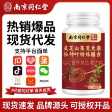 南京同仁堂灵芝山茱萸天麻杜仲叶72gOEM定制电商代发源头厂家批发