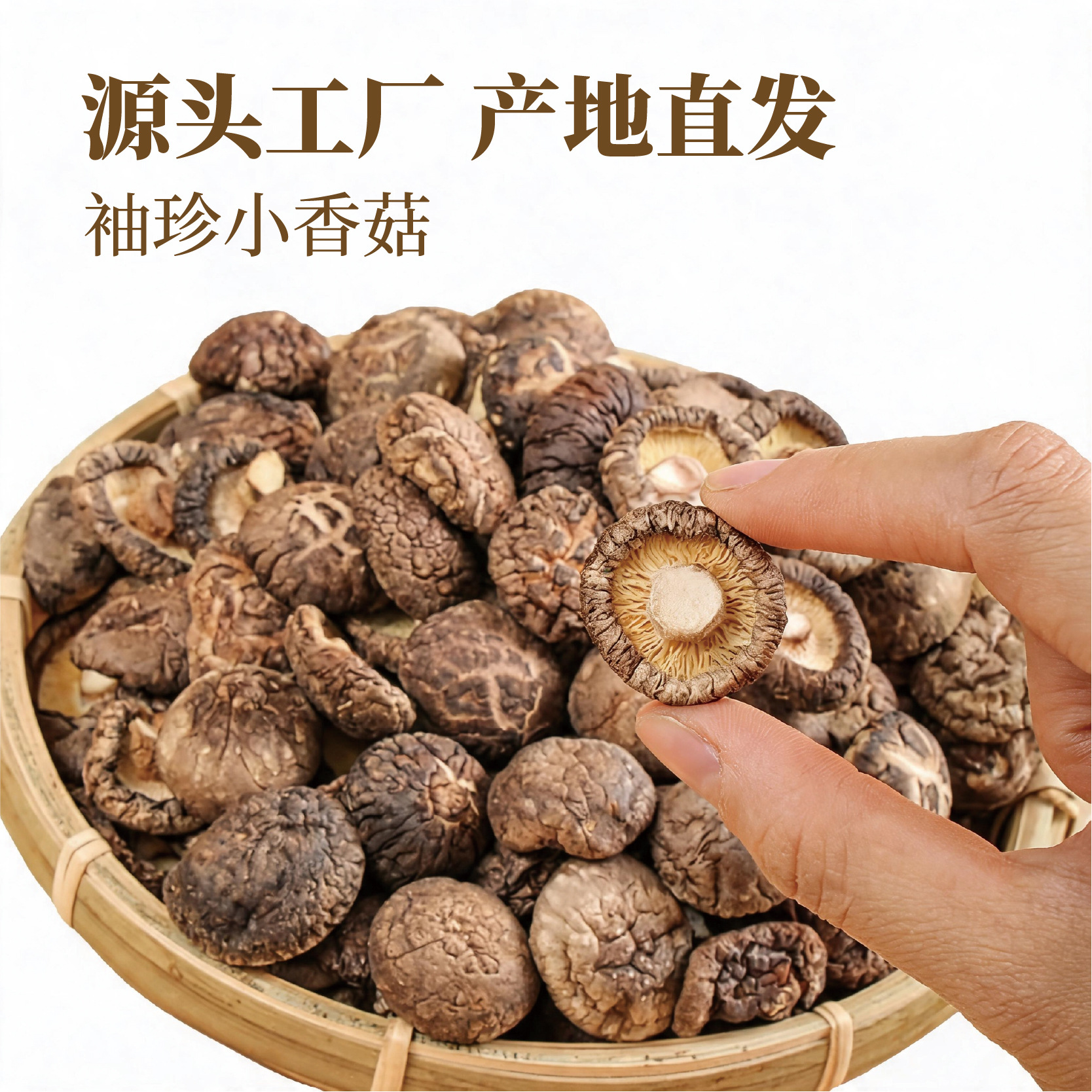 Commercial small dried shiitake mushrooms cut handle edible fresh ingredients shiitake mushrooms dried goods manufacturers wholesale