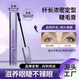 厂家直销跨境美妆防水防汗睫毛膏浓密纤长卷翘不晕染定型睫毛膏