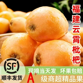 其他水果;番石榴/芭乐;哈密瓜