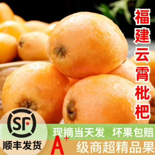 ��S�Ĵ���֦�������������rˮ��������������������ù�����