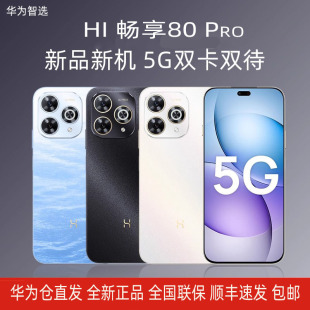 �A�����xhi����80pro �¿�ȫ�Wͨ5G�����֙Cȫ�����p���W������