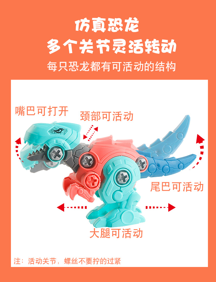 拆装恐龙详情_09.jpg