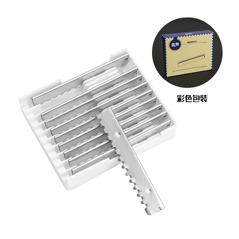 블레이드 10 조각