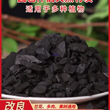 ��̿�w���m�������m���Ի��ܾGֲ�I�B���N��͸����|ֲ��