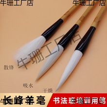 ����P�U���h����Е�ë�P ��̖���W�ߕ������L��ӽ�ë�P���l