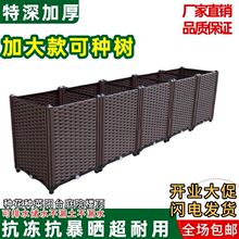 �Nֲ���̨���ͥԺ�߲��L���λ������ϻ�����ü�ͥ�N�ˌ�����