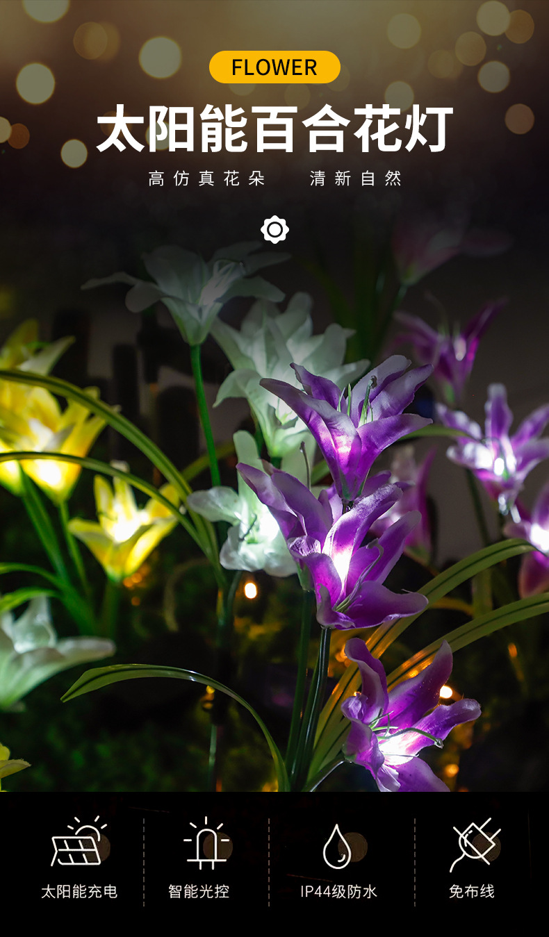 2_01.jpg?x-oss-process=image/format,png