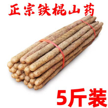 正宗山药新鲜5斤蔬菜小白嘴铁杆淮山铁棍山药10非温县垆土代发