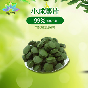 С����Ƭ99% С���剺Ƭ �G��Ƭ ���׺�С����Ƭ ˮ���� ���󃞻�