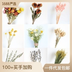 小麦のウサギの尾の草の満天の星の乾いた花は花束のdiyの材料の花の客間を混ぜて雲南の工場を飾ります。