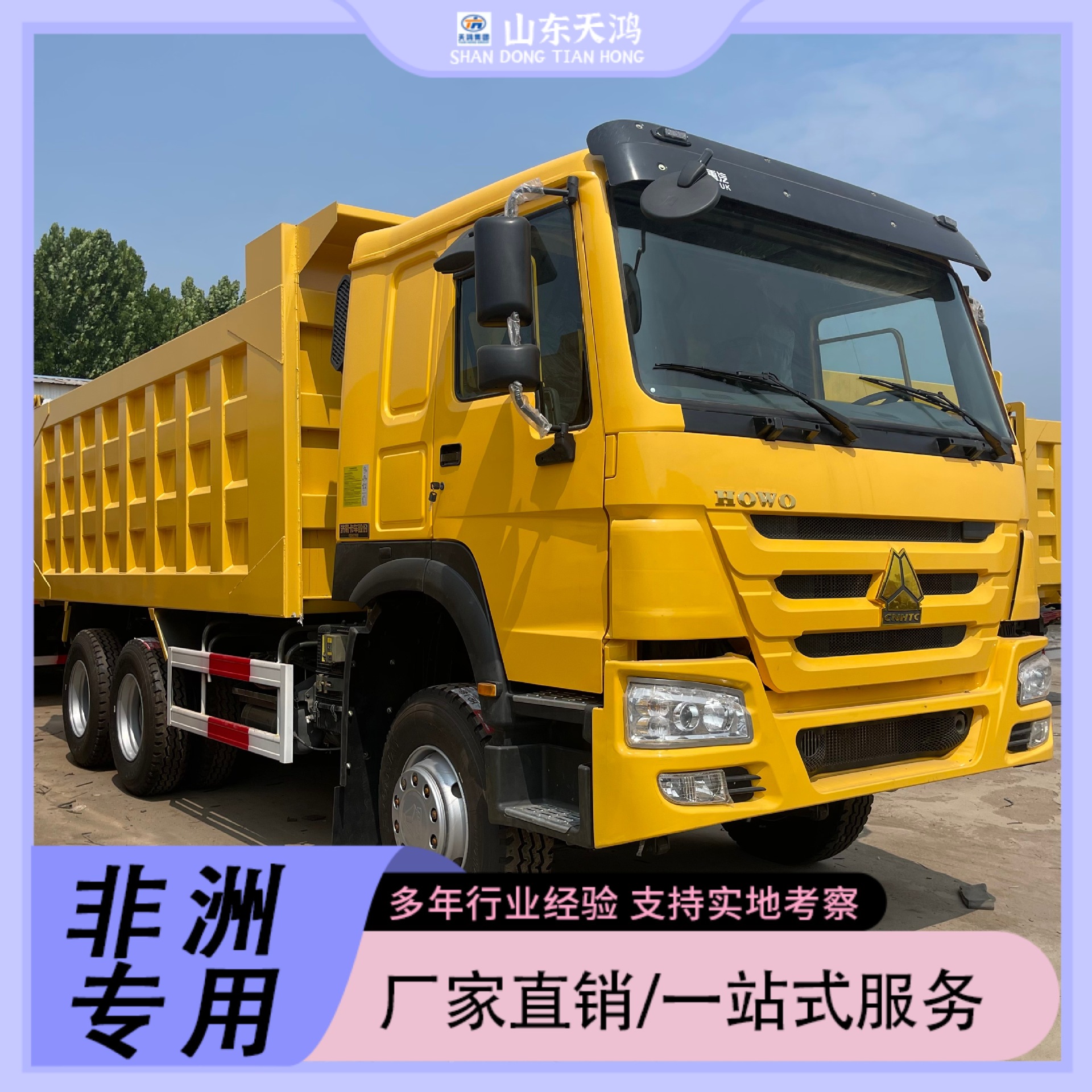 Chinese Heavy-Duty Truck Howo Sinotruk Dump Truck Tractor Truck for Export Direct Sale to Africa Engineering Special Vehicles