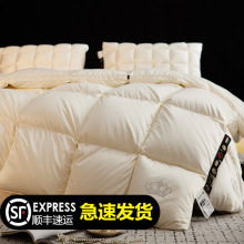 匈牙利进口98白鹅绒被羽绒冬被子加厚保暖被芯高蓬松静音高蓬松度