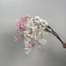 ����ѻ�֦�����ѻ����c�b���һ��͏d��ض����ܙѻ�����