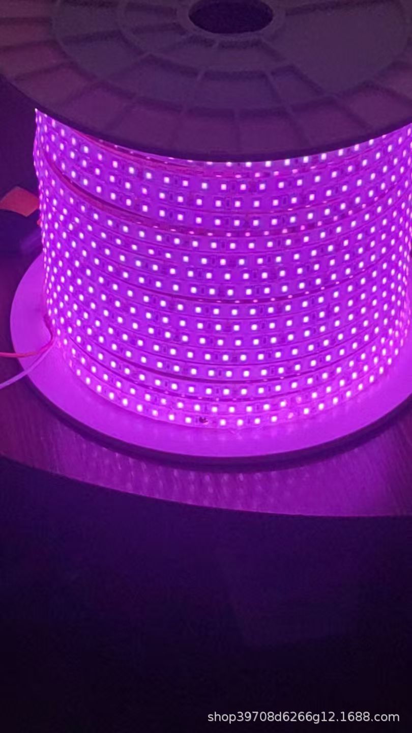 12V / 24V LED de bajo voltaje sólido silicona lámpara IP68 impermeable piscina submarina al aire libre 220V sin conducción image 13
