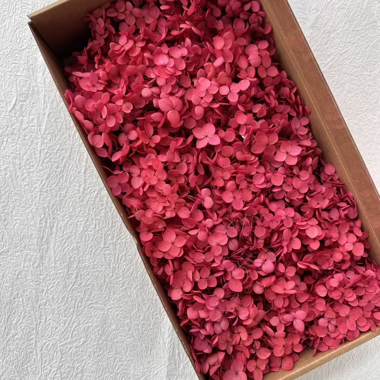 Rouge foncé absorbant la couleur / 5G en boîte