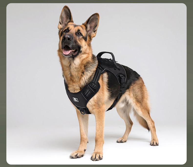 Tactical Dog Harness And Leash Set For Medium And Large Dogs_voghion.com