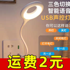 创意语音灯USB人工智能声控灯语音控制迷你便携氛围拍照LED小夜灯