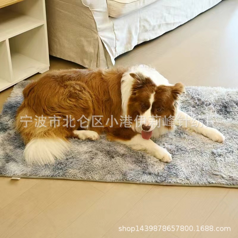 微信图片_20241210221208