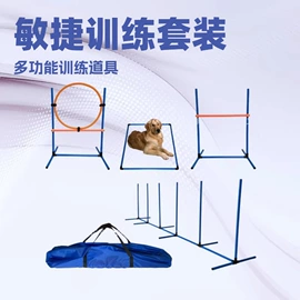 足球训练用具;足球守门手套;专业运动飞盘