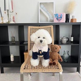 Korean version of autumn and winter warm dog clothes lamb fleece cotton-padded teddy bomei small dog cat cross-border explosions winter clothes