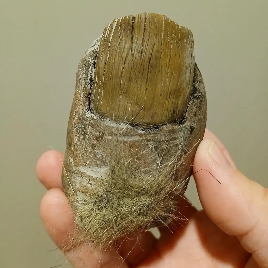 2025 Bigfoot explosivo transfronterizo de Amazon Toe Sasquatch fabricante de proceso de resina de dedo del pie al por mayor