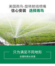 �������B1804-RVAN1724�侀���^ �������D�侀���^��ƺ���s���^