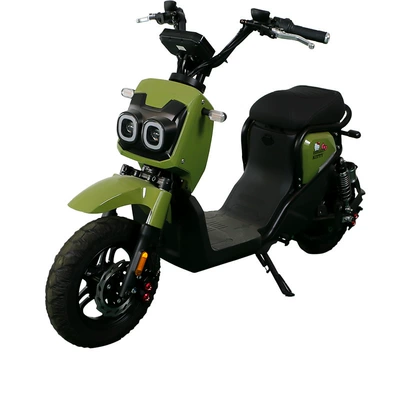 Leisure Passenger Electric Motorcycles, Elektrikli motosikletlər
