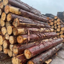 现货供应无结疤桧木原木 直拼板衣柜家具橱柜拼板 日本桧木指接板