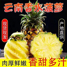 �V�|��ˮ���}10�����rˮ�������Fժ������Ƥ��˺�P���荲��}����