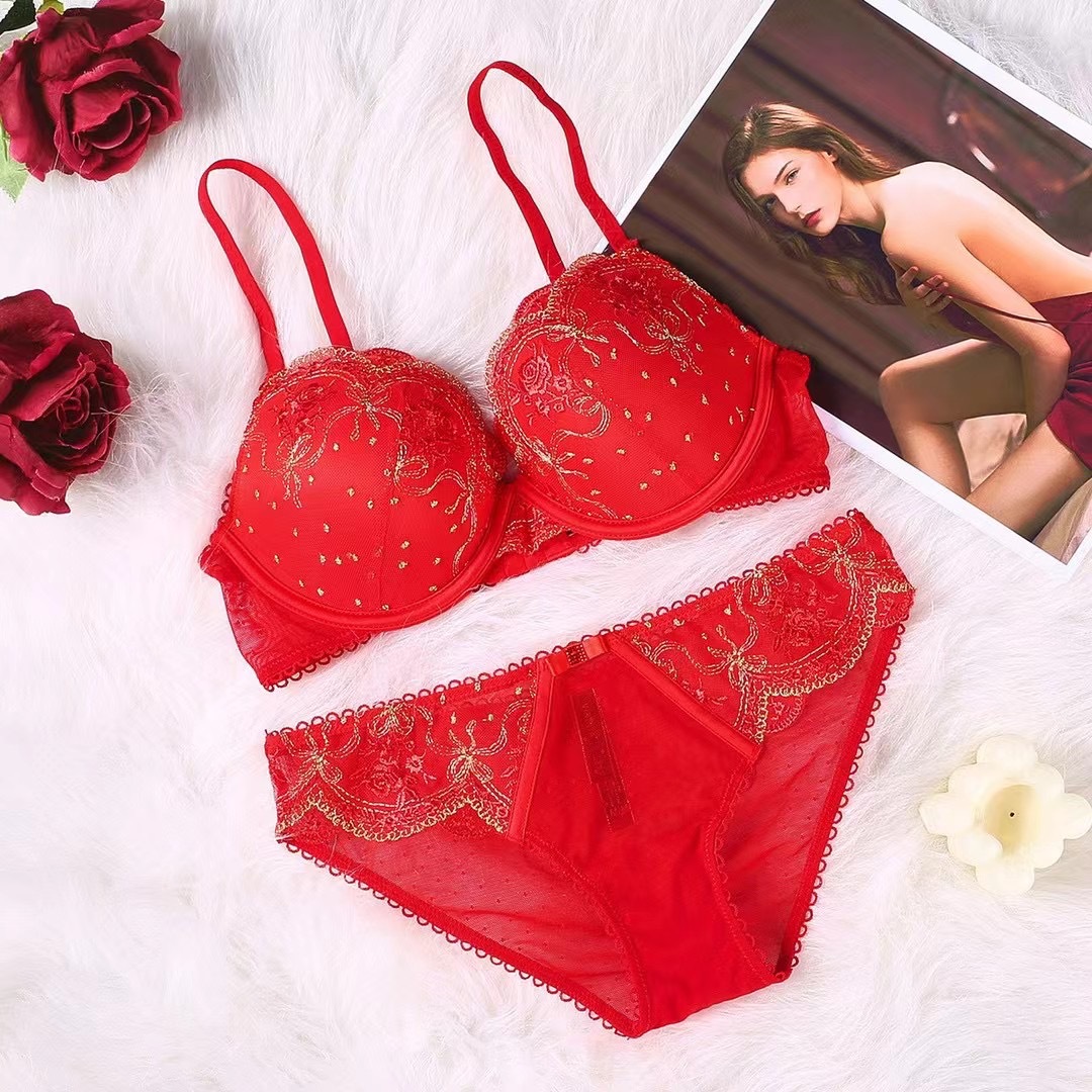 2023 New Embroidered Bra Women's Underwear Set_voghion.com